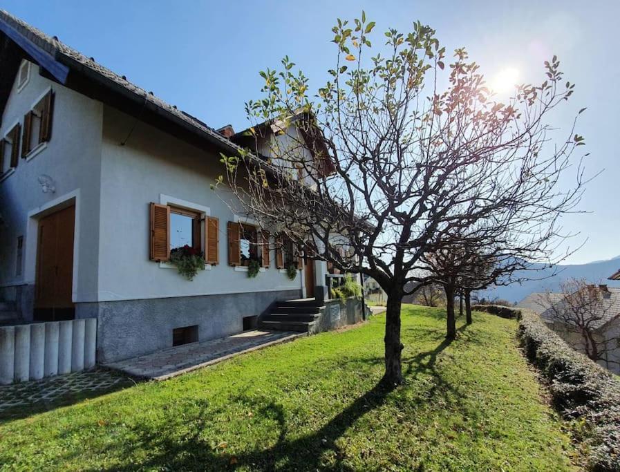 Villa House Pucnk-Beautiful Countryside Zelezniki Exterior foto