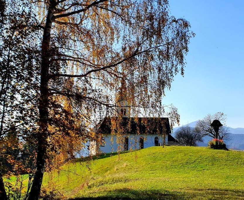 Villa House Pucnk-Beautiful Countryside Zelezniki Exterior foto